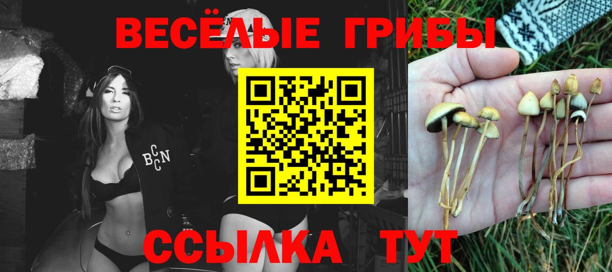 Псилоцибиновые грибы ЛСД Джанкой